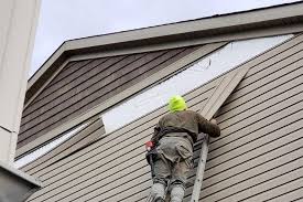 Best Historical Building Siding Restoration  in Laware City, DE